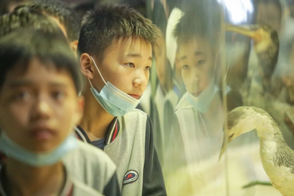 坎墩中學：科技擁抱自然，自然創造文化