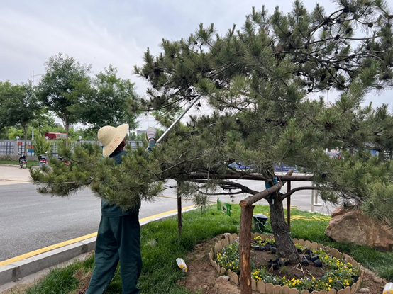 走進園區(qū)，感受夏日炎炎里的“理想之城”！